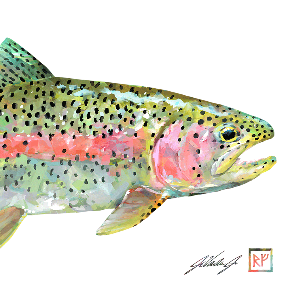 Trout and Environment Art, Fishing with Fiberglass Fly Rods
