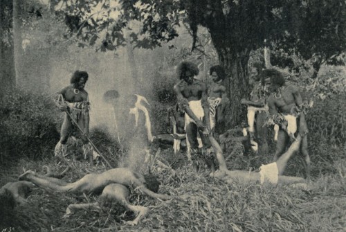 Throughout the 19th century, the Fijian people were known for the ritualistic cannibalism and Fiji was nicknamed the “Cannibal Isles” by the European sailors who refused to travel there. Ratu Udre Udre, a Fijian commoner is referred to as the “most...