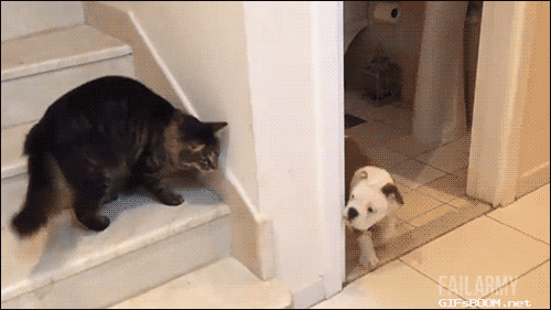 When I confront a source because he has lied to me.
gif via beppski
