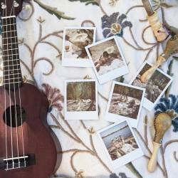 Polaroids and ukuleles!