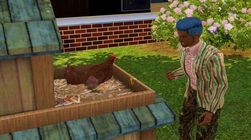 Diego loves his chickens.
I’ve moved them to a fresh save in Elba, in the newest version of the city. I’m doing some minor editing, dropping sims and houses I’d made for Omanesce and adjusting my NRAAS for that save. I wanted to send Diego into the...