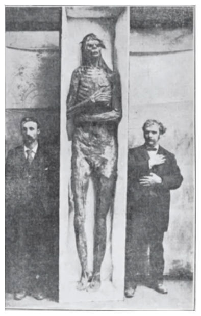 This 8-9 ft man was supposedly found in an ancient burial ground. According to the original 1895 article about it, it was found in a cave with a hood over the head, not a burial mound.
The Scientist who is claimed to have investigated it was Dr...