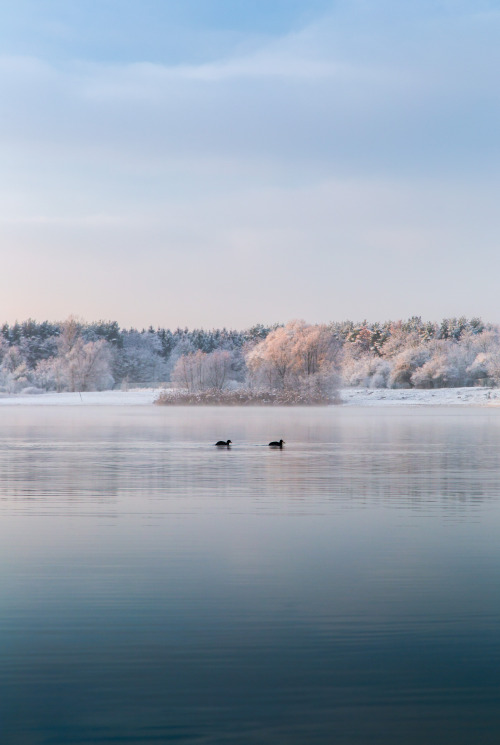 dennybitte:
“peaceful winter moment
by Denny Bitte
november 2015
”
