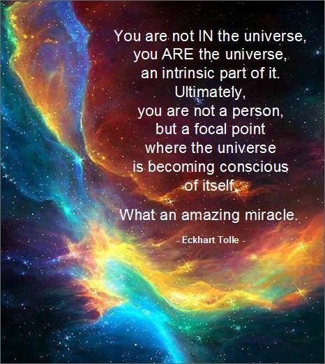 Image result for you are a reflection of the universe