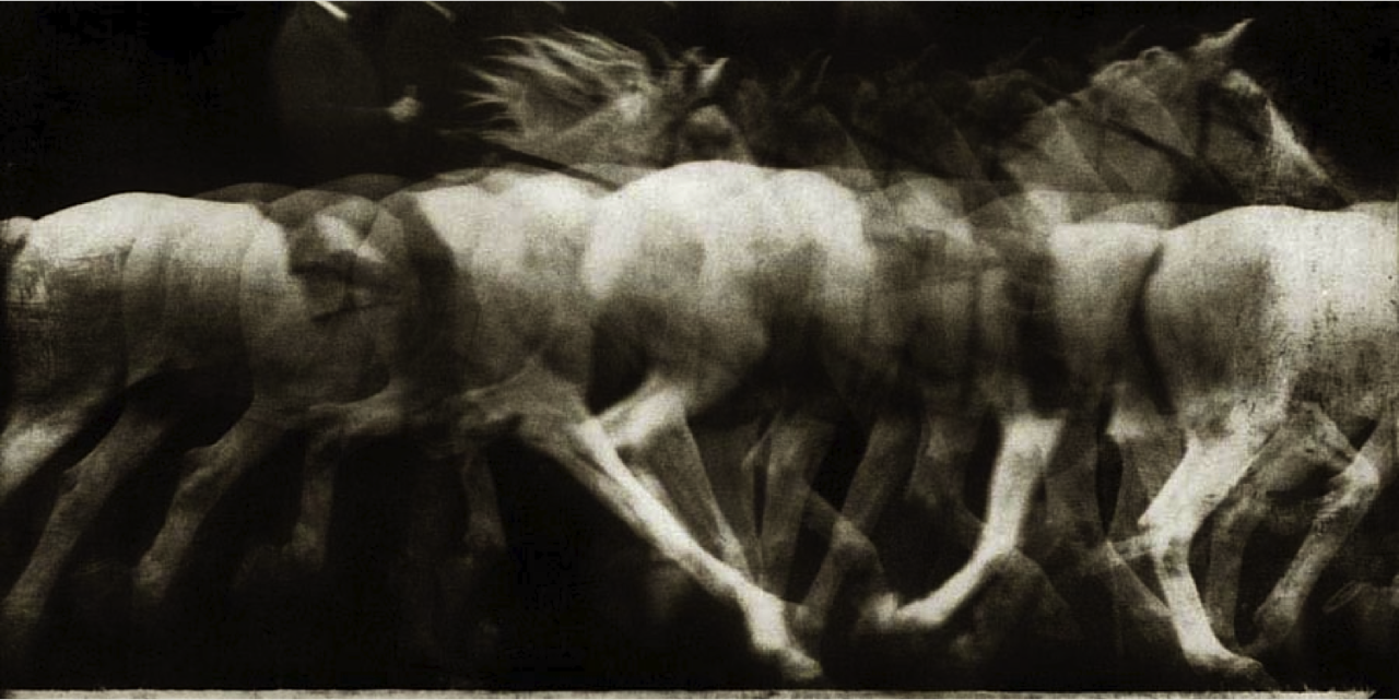 Image result for etienne jules marey horse