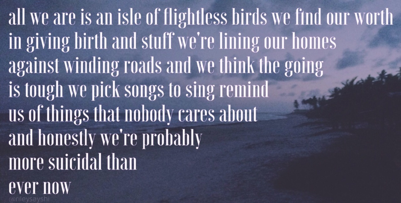Image result for twenty one pilots isle of flightless birds lyrics