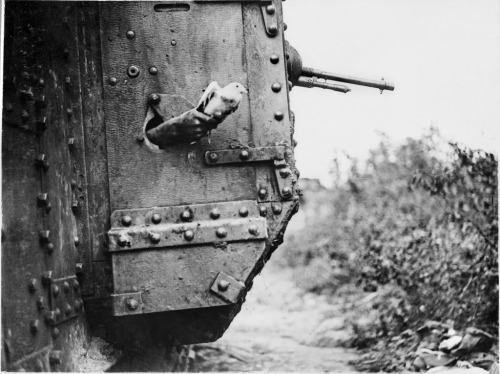 sadmaninacan:
“ sixpenceee:
“ A carrier pigeon is released from a tank during WWI. (Source)
”
An official picture of me being released into the outside world for the first time.
”