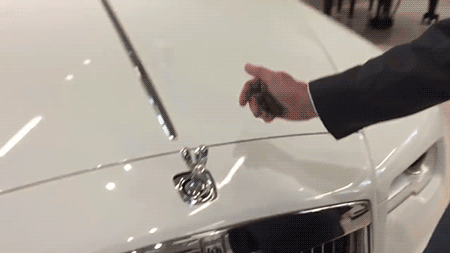 fencehopping:
“ Anti-theft mechanism built into the hood ornament of a Rolls Royce
”