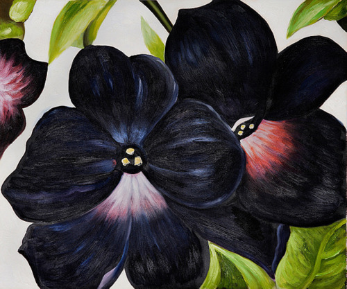 huariqueje:
“ Black and Purple Petunias - Georgia O’Keeffe
American painter 1887-1986
”