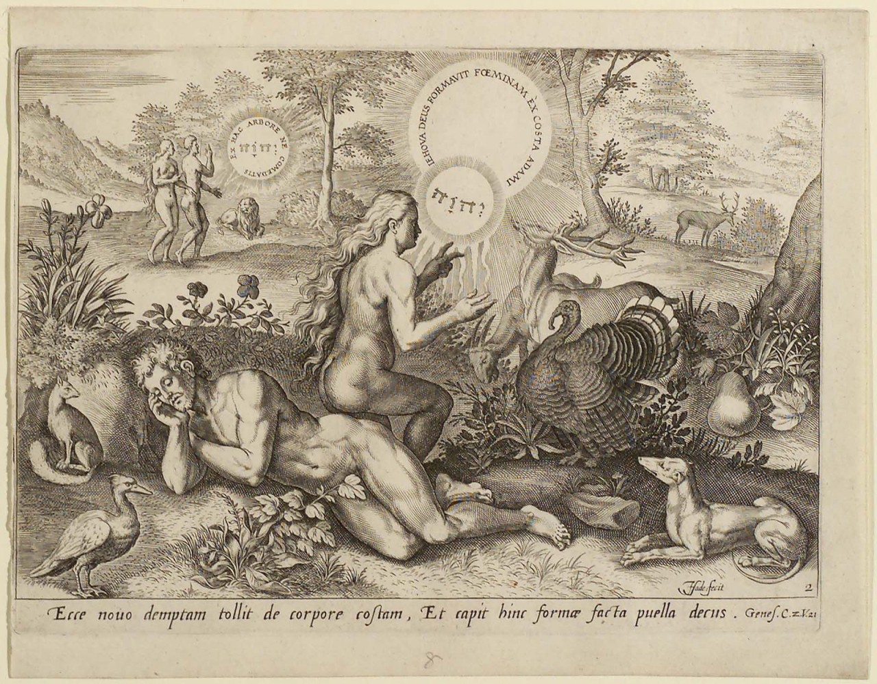 centuriespast:
“ Creation of Eve
before 1585
Johannes Sadeler (Netherlandish, 1550–about 1600)
MFA Boston
”