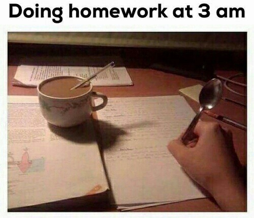 doing homework
