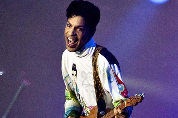 Image result for prince concert pictures