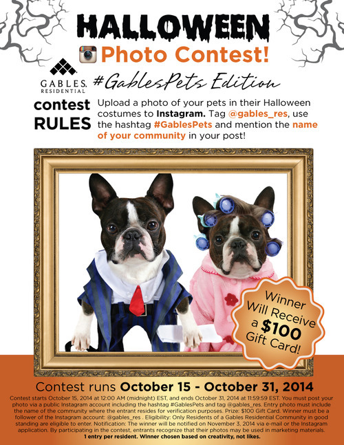 Pet Costume Contest Rules CONTEST RULES: Upload a photo of your pets in their Halloween costumes to Instagram. Tag @gables_res, use the hashtag #GablesPets and mention the name of ...