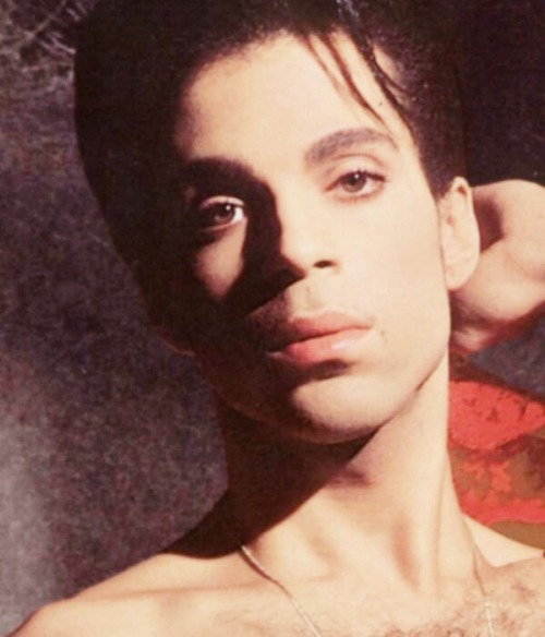 princerogersnelsons: “ 21/100 Photos Of Prince. ”
