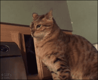 When an editor abruptly gives me somebody else’s unfinished story that I now have to clean up.
gif via 9fail