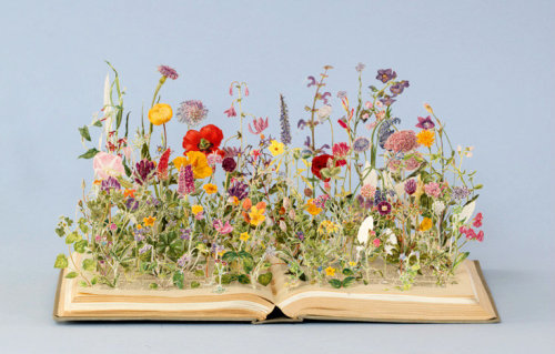 pagewoman:
“  Wild Flowers 🌹 💐 🌹  by Sue Blackwell
”