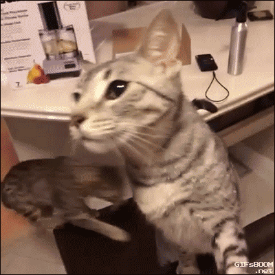 When I get a story assignment that’s not the one I asked for.
gif via leecas
