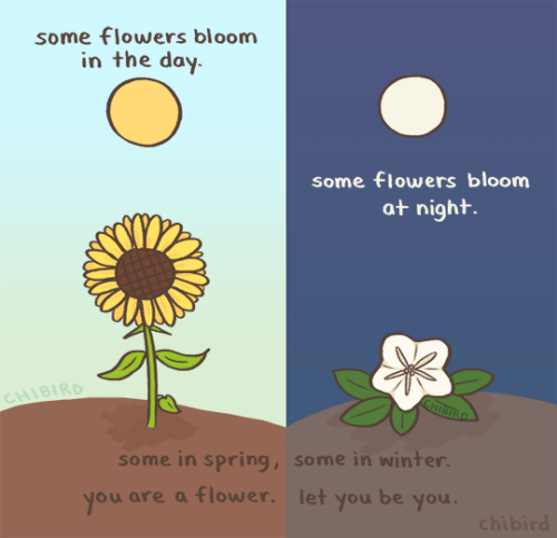 You are a flower, different and beautiful, just like you are meant to be.