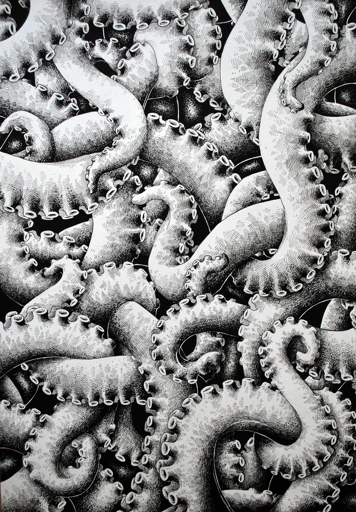 tentacles senor octopus