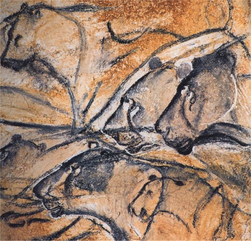 sophisticadence-the-dork:
“ sixpenceee:
“ These lions found in a cave in France in 1994 are 32,000 years old, and are believed to be the oldest paintings ever discovered. (Source)
”
They’re so beautiful though. Look at the contrast in dark and light,...