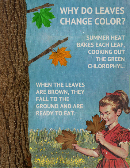 På hösten är löven genombakta, och färdiga att äta.