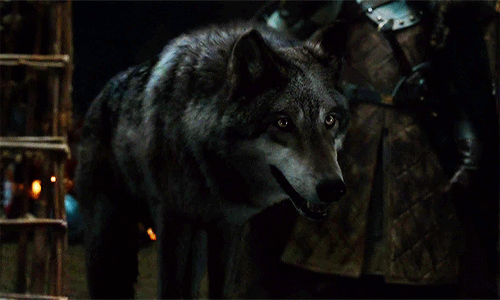 direwolves