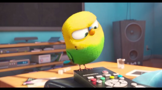 the budgie from the Secret Life of Pets trailer