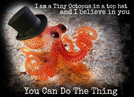 Image result for octopus in a tiny tophat