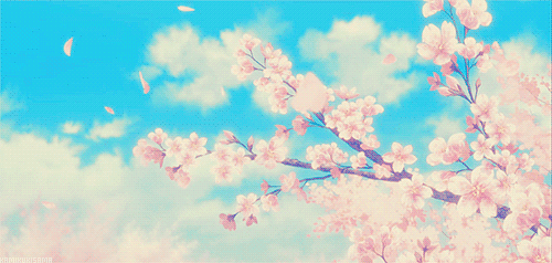  ! (๑•ิ.•ั๑ 桜 (sakura flower Tumblr_o3bnl36a8T1uz8mpno1_500