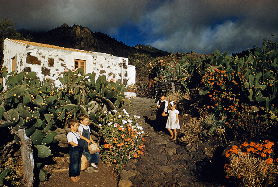 Children play barefoot in a cactus garden on the Canary Islands, 1955. Photograph by Franc and Jean Shore, National Geographic Creative