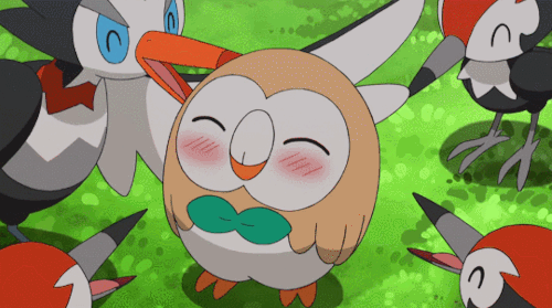 Image result for rowlet
