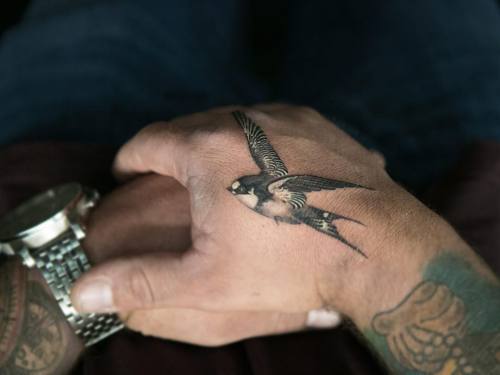 Tattoo tagged with: bird, hand