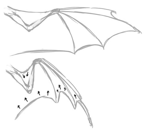 Do you have any tips or tricks for drawing dragon wings in any ...