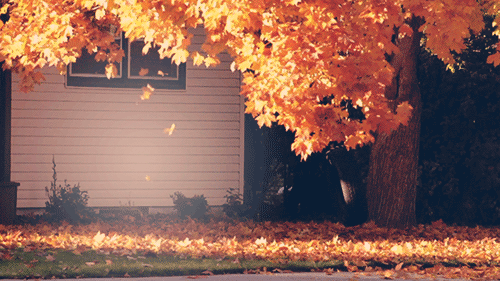 ¡Novedades de otoño! Tumblr_ndco4lcwaO1tse4qeo1_500