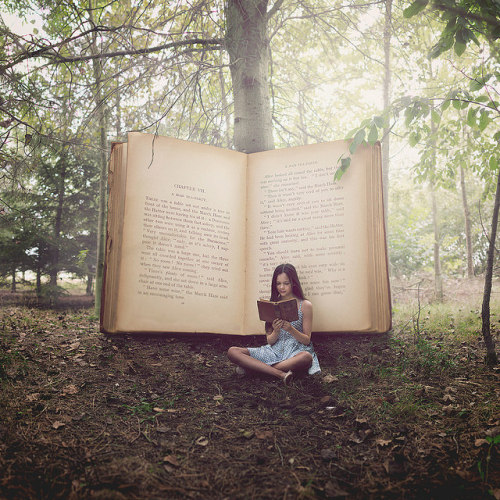 Alice in Wonderland on Flickr.