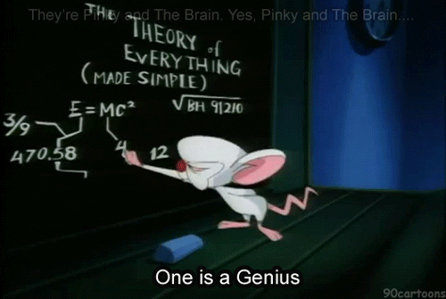 Image result for PINKY AND THE BRAIN GIFS