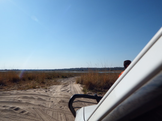 Paliza de coche Kasane-Ngepi camp ( Namibia, franja del Caprivi) - Aventura 4x4 por Botswana y Namibia (16)