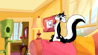 Image result for PENELOPE SKUNK LOONEY TUNES GIFS