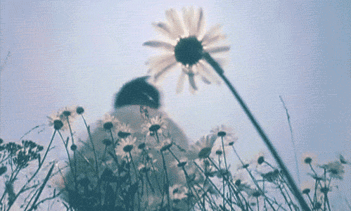 Risultati immagini per girls and flowers tumblr gif
