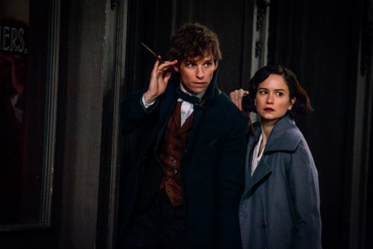 Fantastic Beasts and Where to Find Them. This is the first installment in a new quintet. (That’s five.) It was originally meant to be a single film...