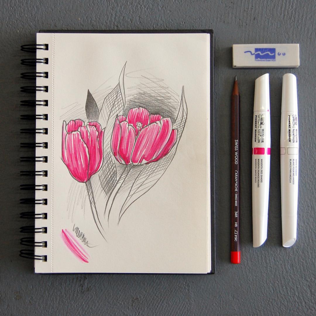 msfawne: “ Sketching flowers with my September #artsnacks supplies. I don’t work with markers often, so this was interesting. #artsnackschallenge #sketching #sketchbook #flowerart #tulips #instart #artoftheday #artistsofinstagram #artistsoninstagram...