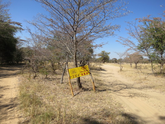 Paliza de coche Kasane-Ngepi camp ( Namibia, franja del Caprivi) - Aventura 4x4 por Botswana y Namibia (5)