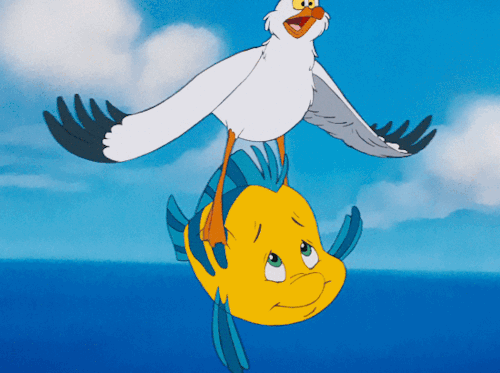Image result for SCUTTLE SING GIF