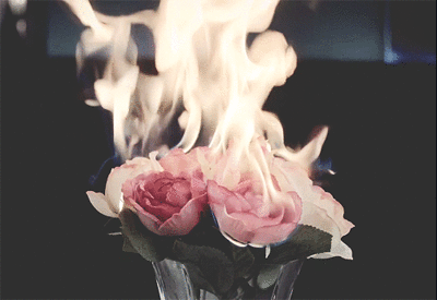  ♦ Rosana The Black Roses ♦  Tumblr_mzyt5g6J3j1szzyavo1_400