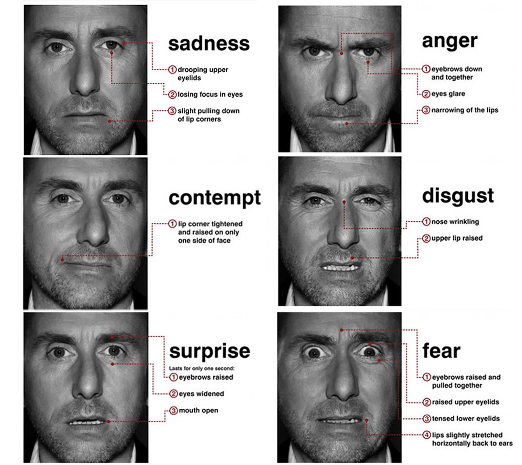 paul ekman 6 basic emotions