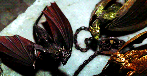 Dragons divers Tumblr_n8t3utymM61t2q244o1_500