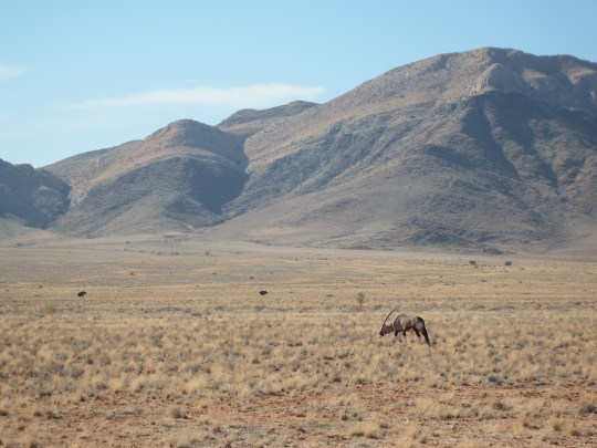 Deadvlei - Aventura 4x4 por Botswana y Namibia (5)