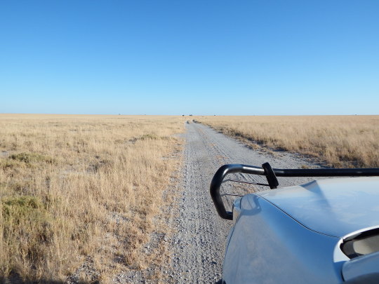 Aventura 4x4 por Botswana y Namibia - Blogs de Africa Sur - Kubu Island-Nxai Pan (7)