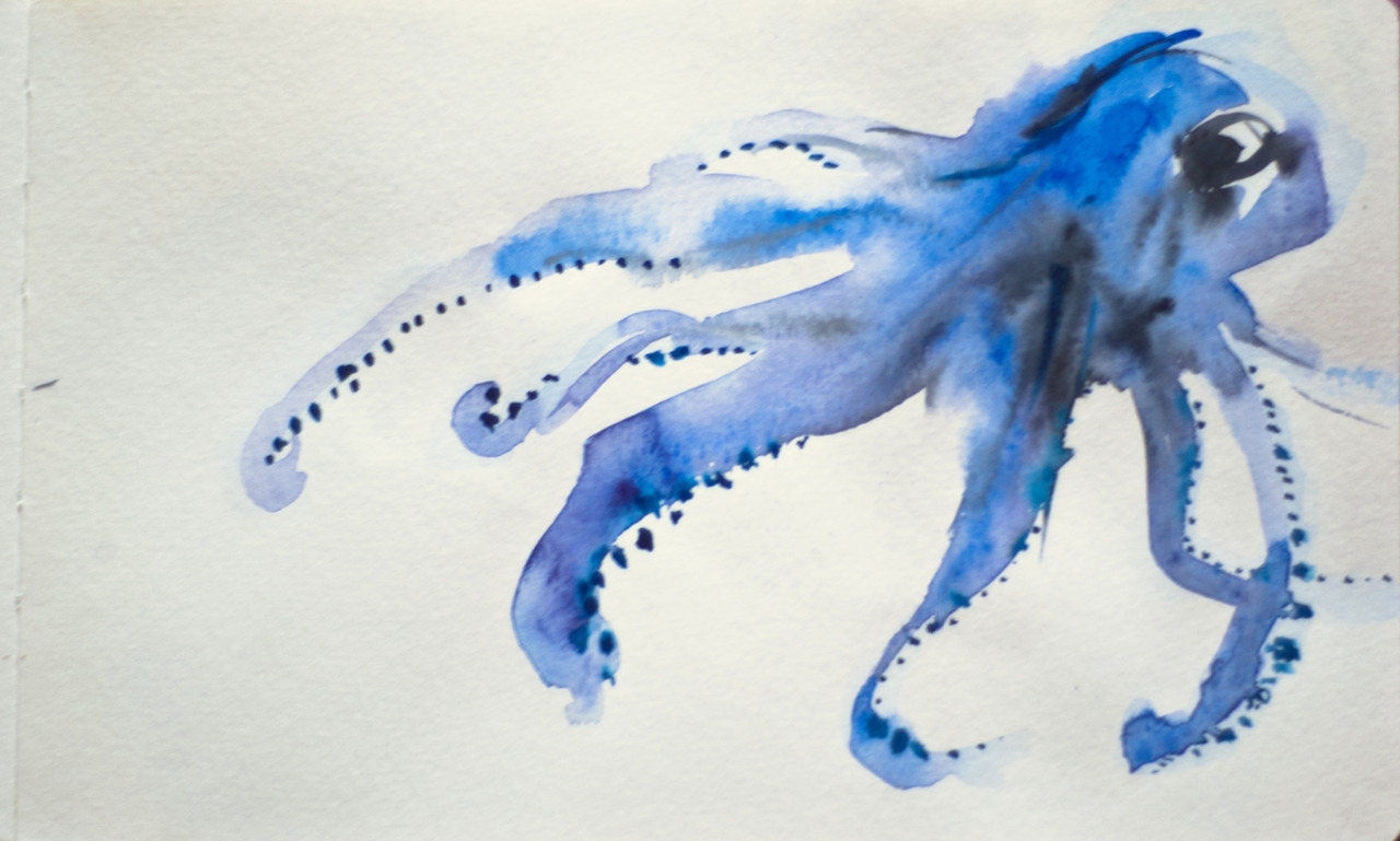 octopus. watercolour, moleskine