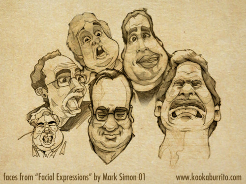 Facial Expressions book by Mark Simon is a fun reference book.